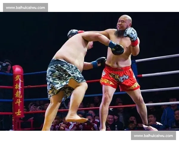 一龙vs王知亮巅峰对决揭示中国搏击格局新走向与争议深度解析现场 一龙vs王知亮巅峰对决揭示中国搏击格局新走向与争议深度解析现场